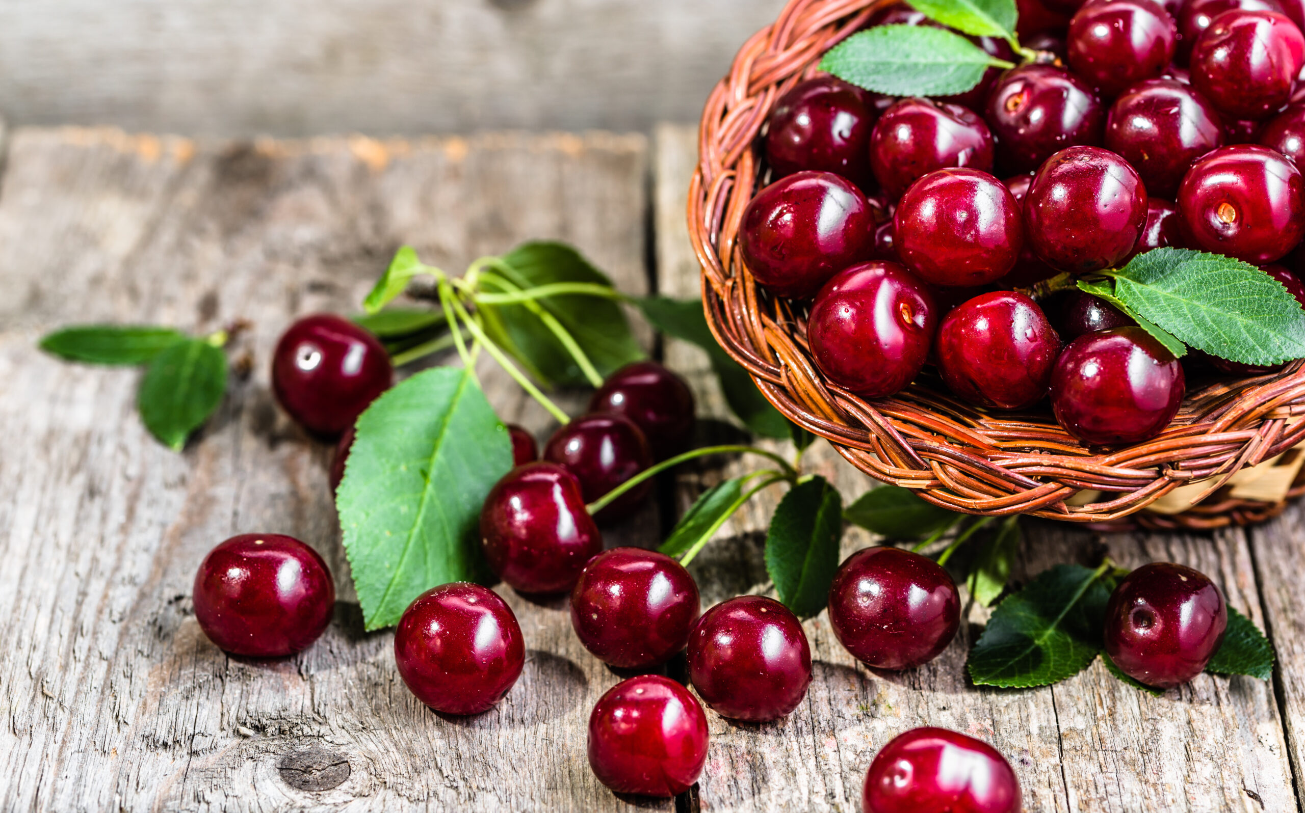 US Cherry Prices Plummet to Historic Lows in Vietnam’s Market