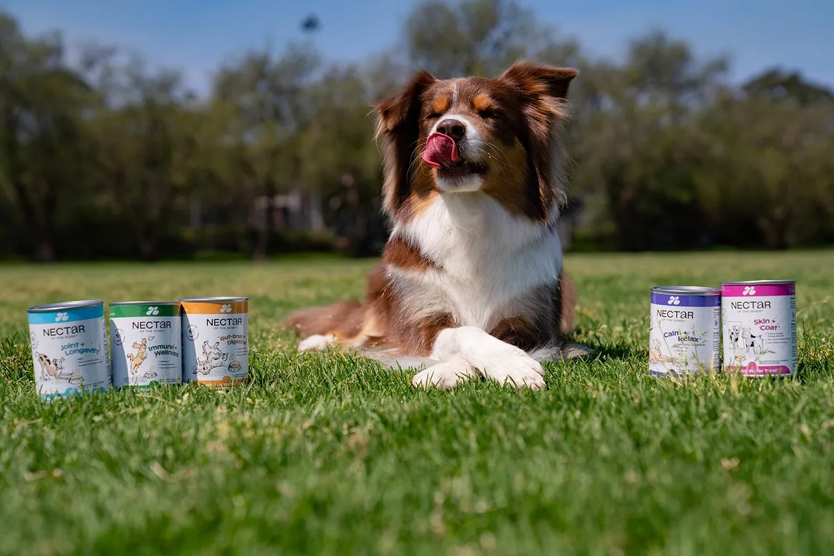 Real Pet Food Pledges $1.3m For Safety Upgrades After Epa Directive Following Acid Spill Incident