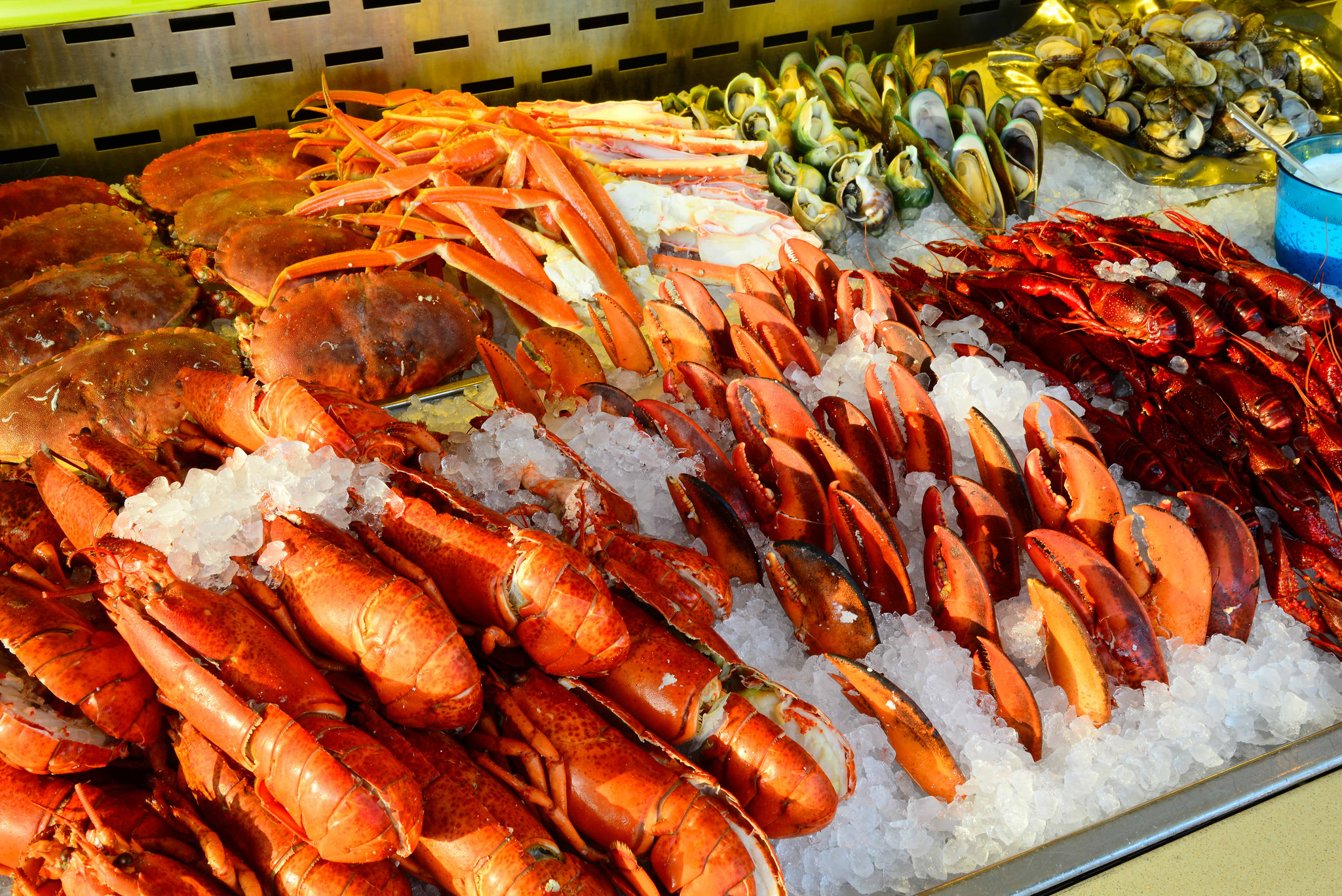 Vietnam’s Aquatic Exports Soar to Historic Heights, Anticipating $11.3B Record Despite Global Challenges
