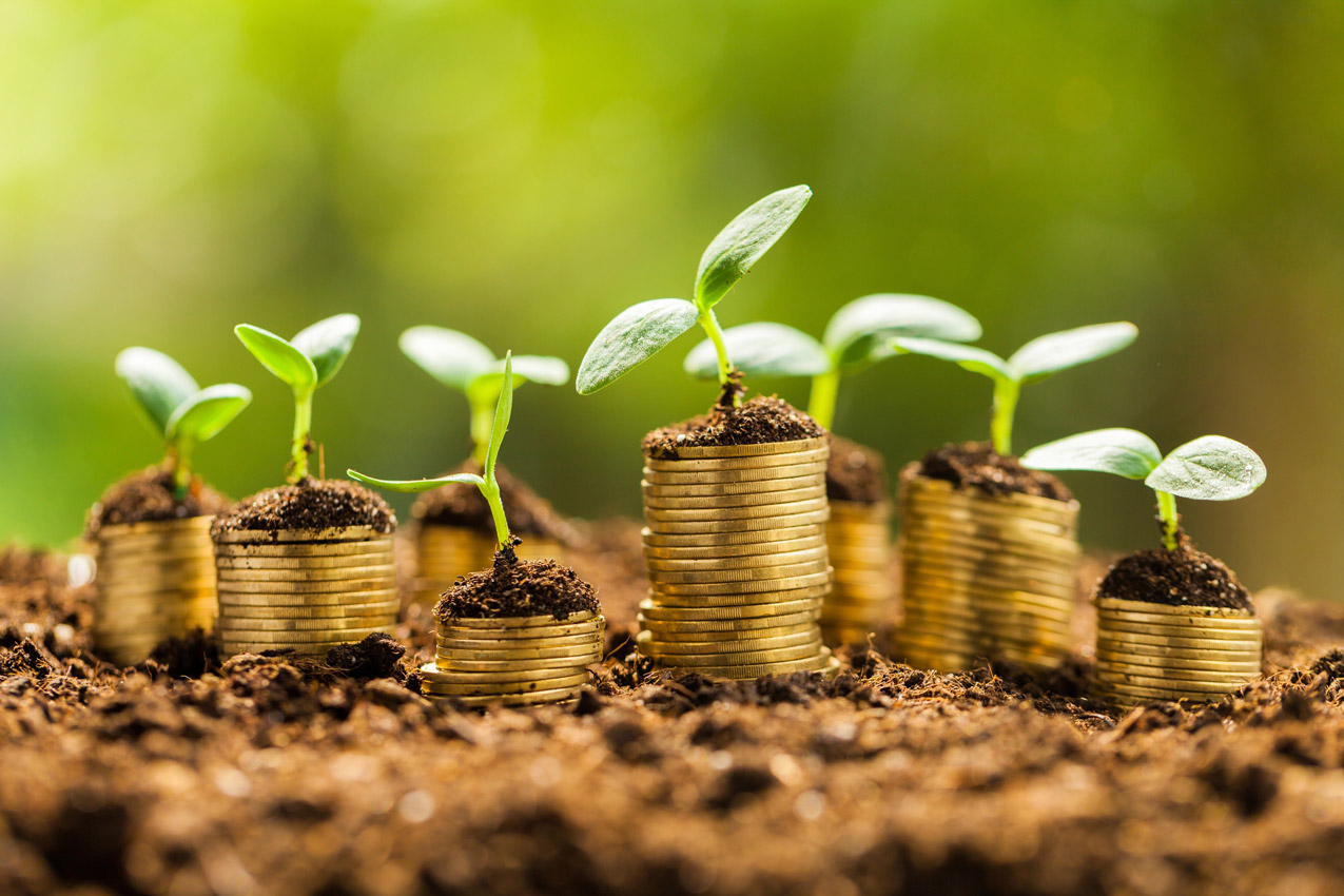 Exploring Barriers to the Growth of Green Bonds in India’s Eco-Friendly Investment Landscape