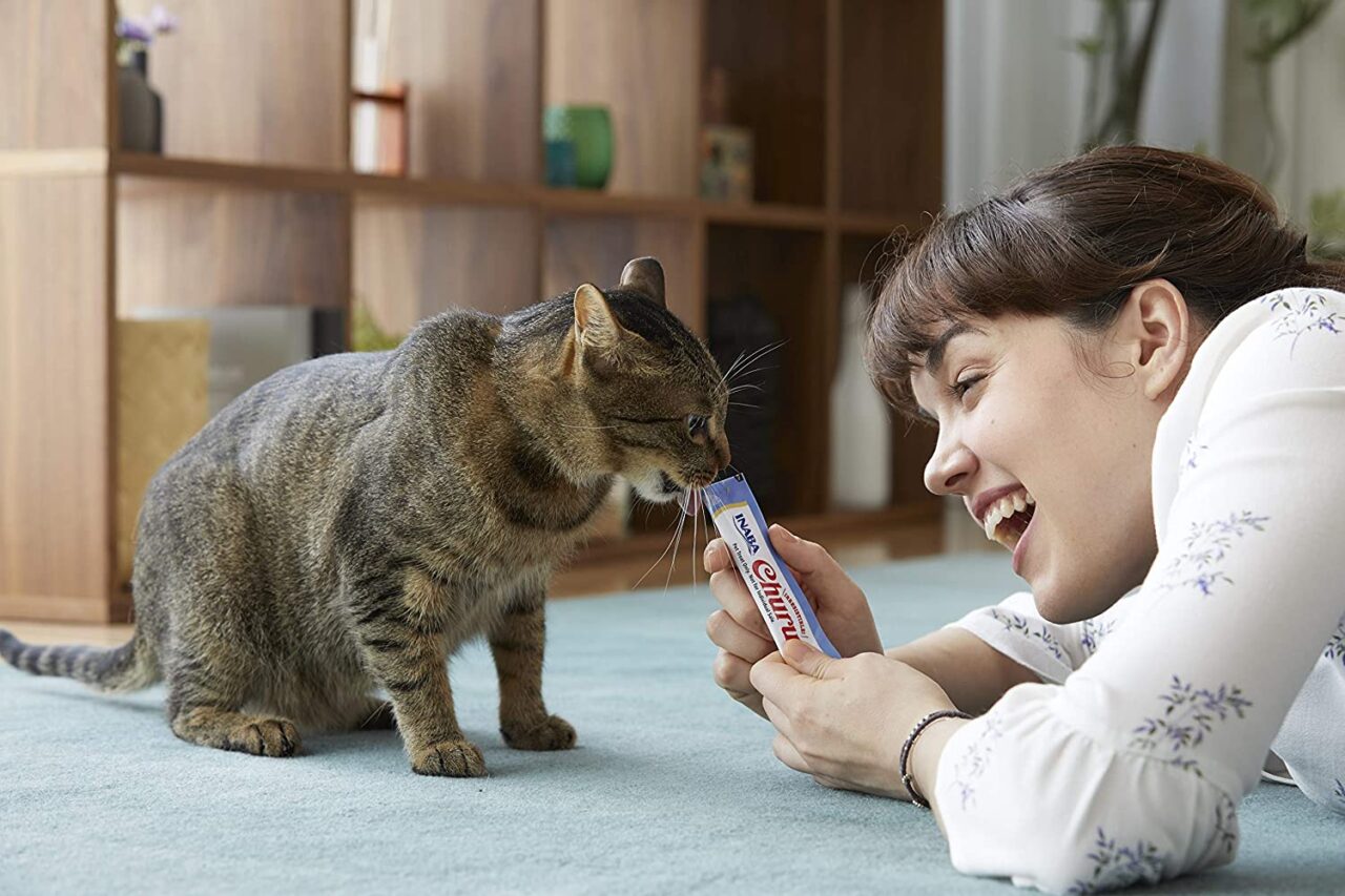 Inaba Pets