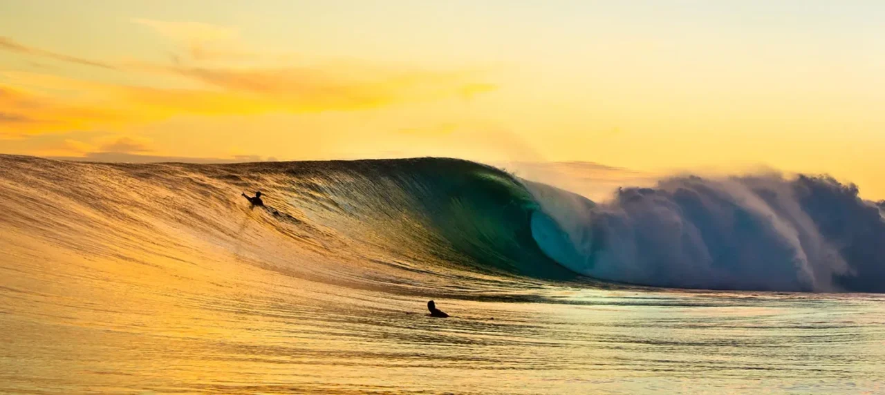 Rip Curl