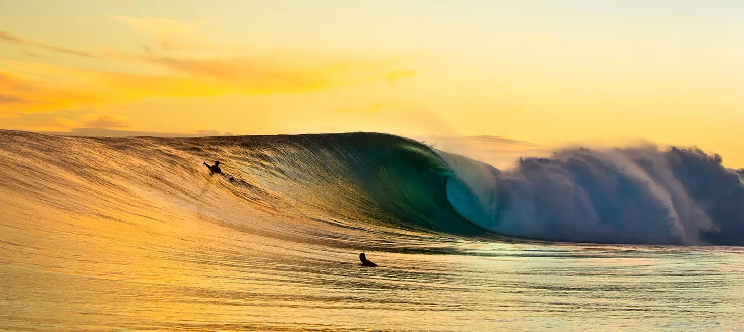 Australia’s Surf Giants Face Competitive Surf as Retail Powerhouses and Newcomers Ride the Wave