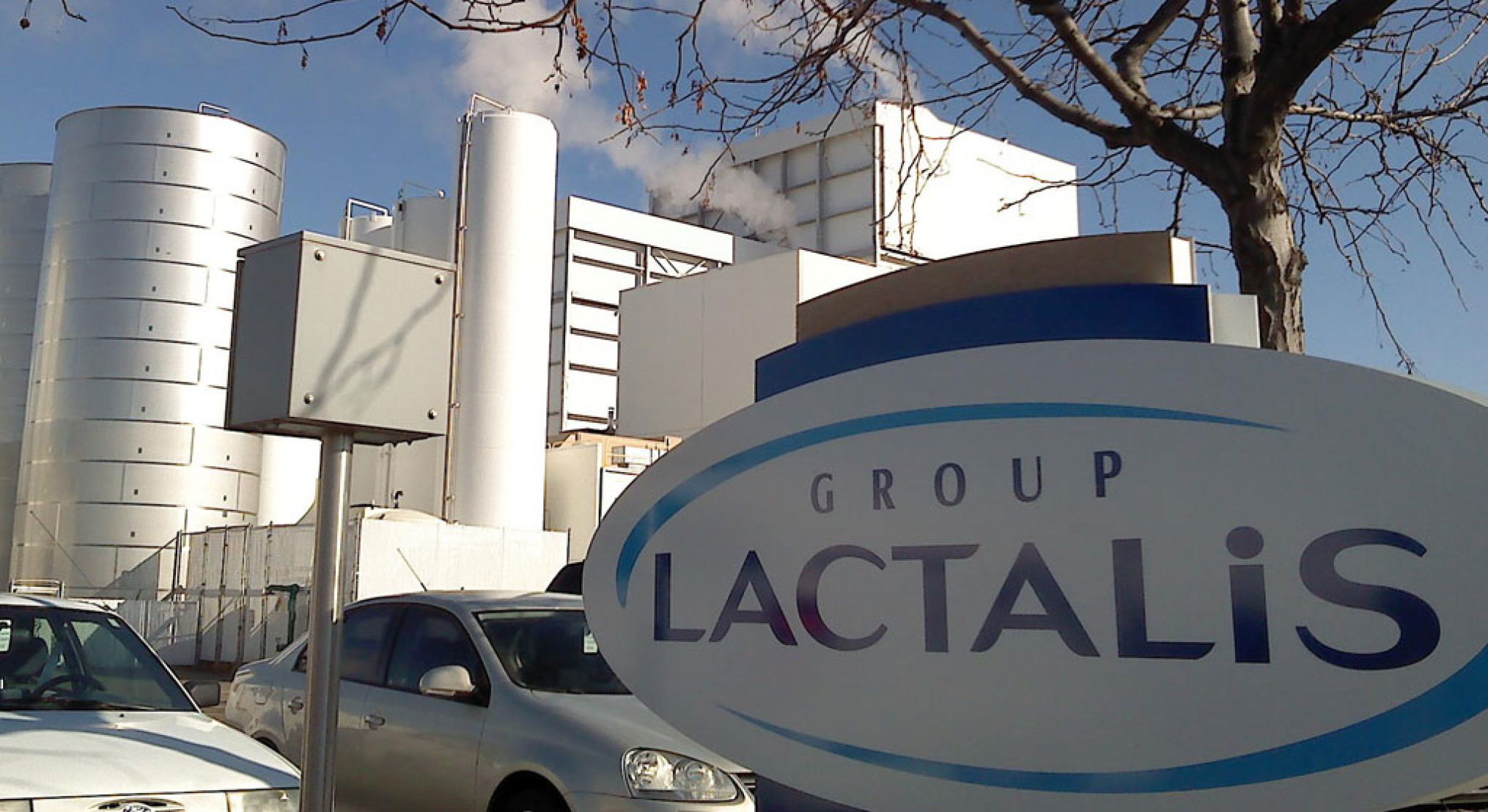 Lactalis Australia Enriches Pauls Dairy Line with Double Espresso Caramel and Summer Berries Flavours