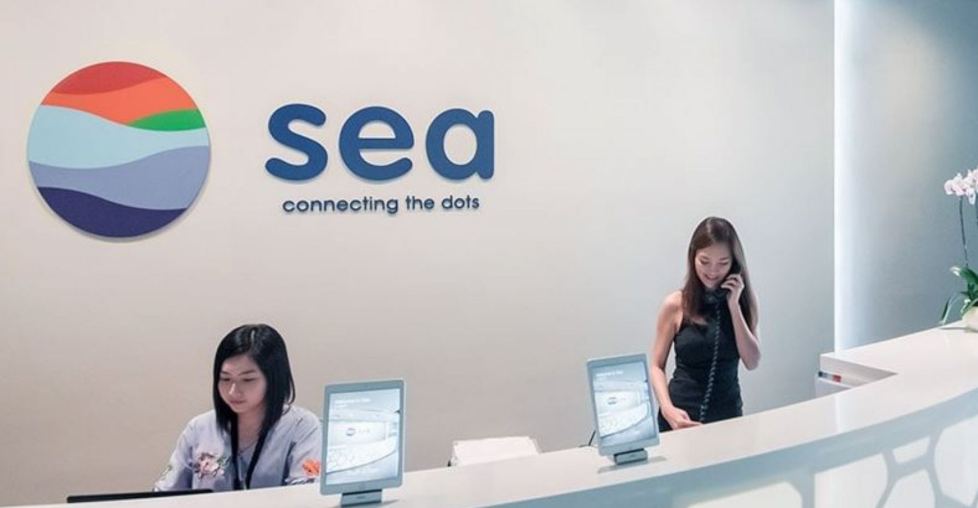 Sea Battles Rivals with Heightened Spending: Revenue Soars, Profits Dip Amid Competitive E-Commerce Landscape