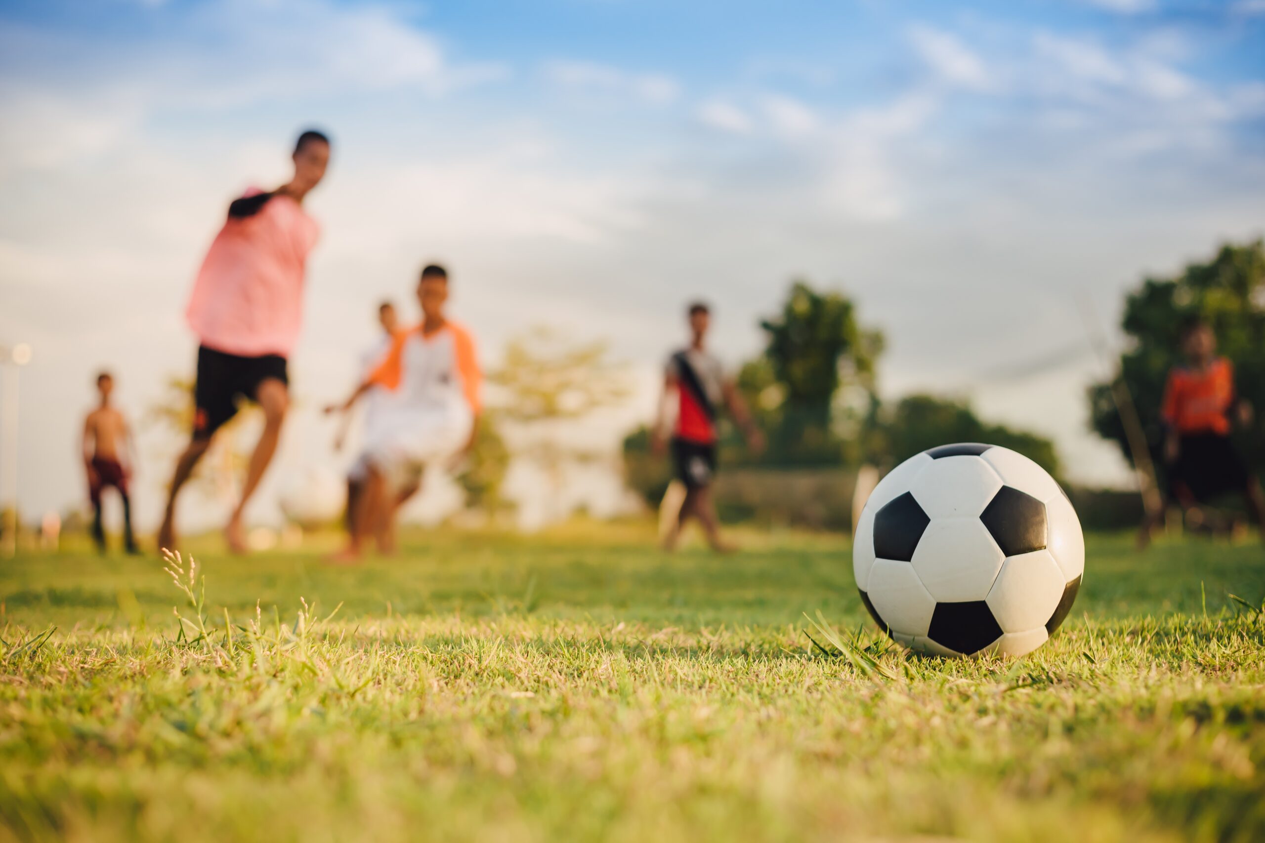 Billionaires’ Playground: Sports Teams Emerge as Top Asset Class Among Ultra-Rich, J.P. Morgan Reveals