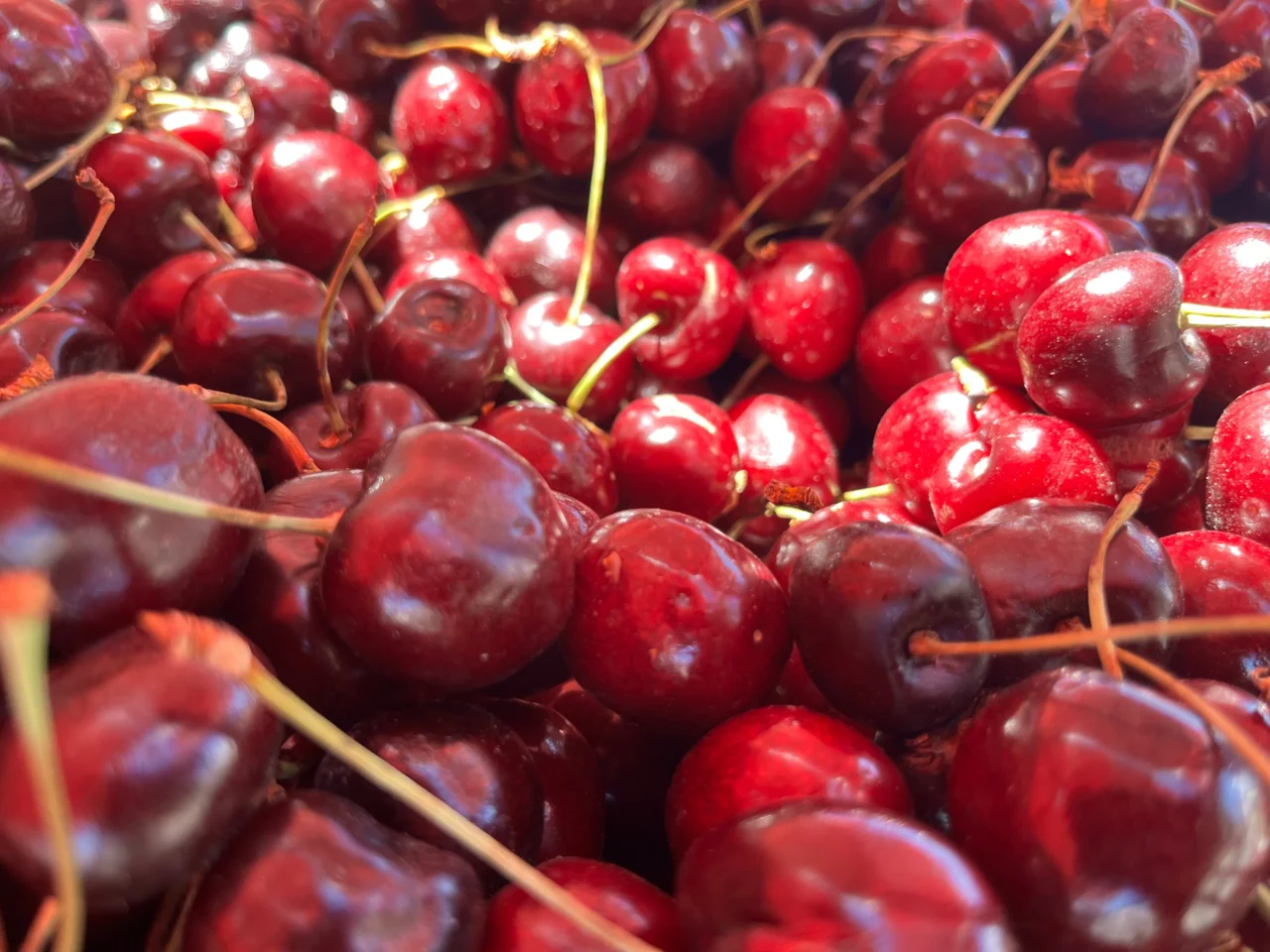 Cherry Costs Tumble as Global Supply Skyrockets: A Bumper Year for Bargain Hunters
