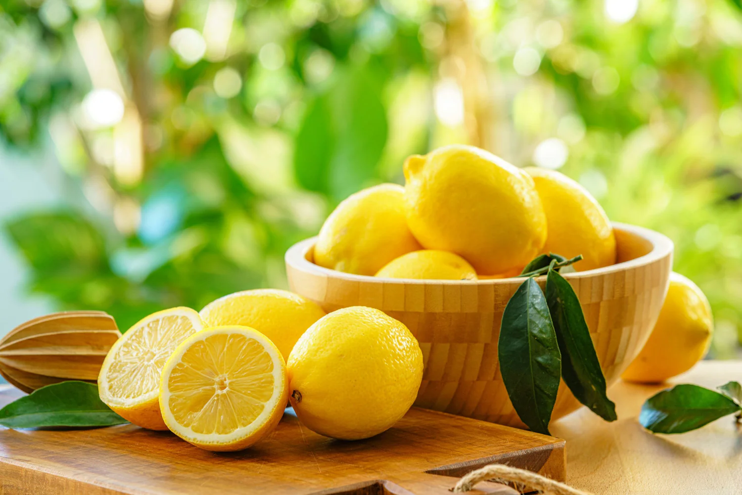 Unlocking New Markets: Vietnam Secures Green Light for Pomelo and Lemon Exports to China